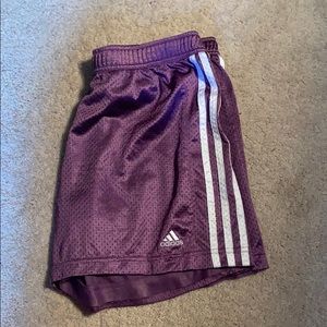 Purple Adidas Shorts